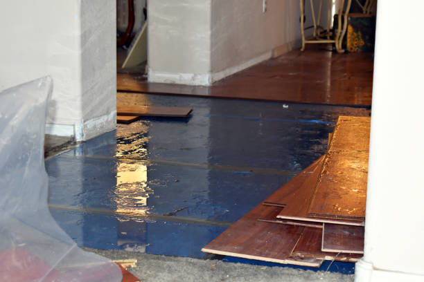 Professional Basement Water Removal technician working in Jacksontown, OH